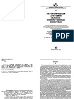 Учебник патанат PDF