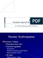 Anemia: Pendekatan Diagnostik Klinis Dan Terapi