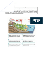 Tercera Guia de Ciencia Quinto Basico