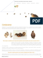 Informacion Sobre Cria de Codornices y Huevos de Codorniz - Codornices F1 PDF