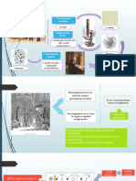 Experimentos de Pasteur