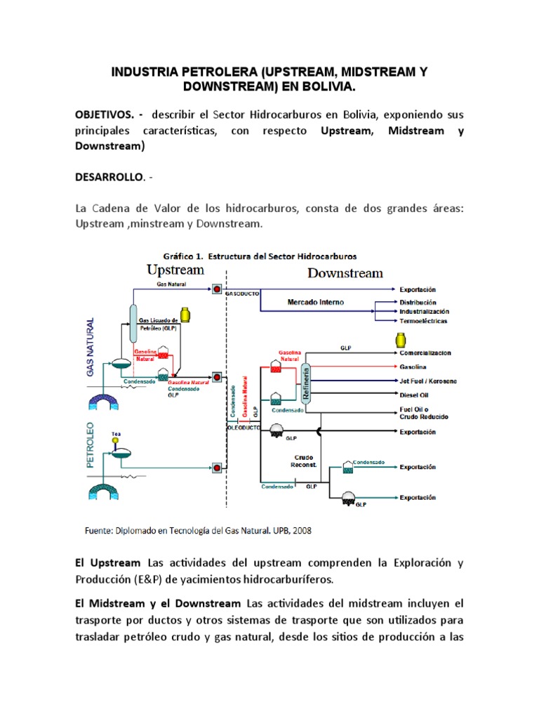 Estructura de la Industria Petrolera en Bolivia | PDF | Centro de la ...