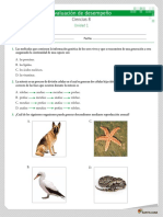 Evaluacion Desempeno 1