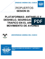 SESION 25.pdf