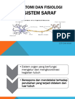 Sistem Saraf Manusia