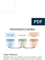 Caso Practico Presupuesto Flexible