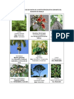 Guía de especies de plantas de la Institución Educativa Cervantes