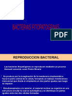 CATEDRA MOD Características Bacterias Fitopatógenas