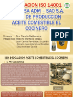 EVALUACION ISO1400  empresa de Aceite 19-09-2014.pdf