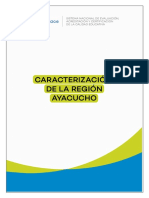 Caracterización de La Región Ayacucho 2018 Sineace
