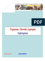 10 Treponema Borrelia Leptospira