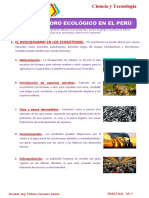 El Deterioro Ecologico 4º Prim - 07