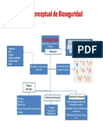 Mapa Conceptual Bioseguridad