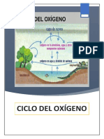 Ciclo Del Oxigeno