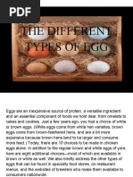 The Different Types of Egg