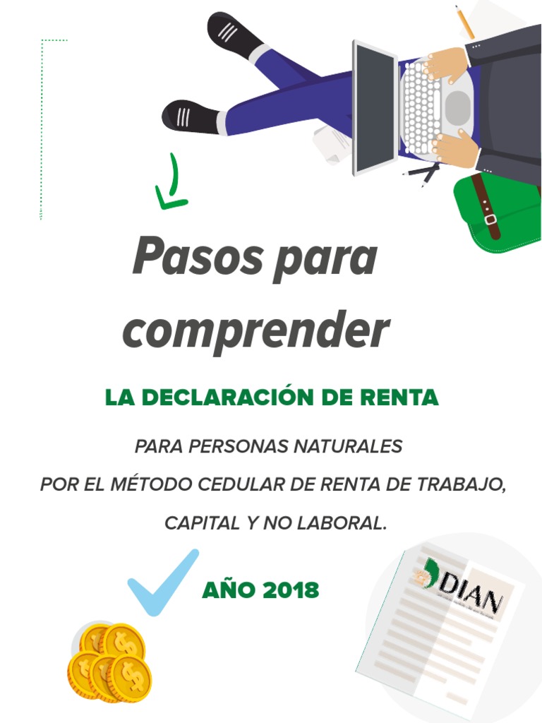 Instructivo Declaración de Renta Persona Natural | PDF | Salario ...