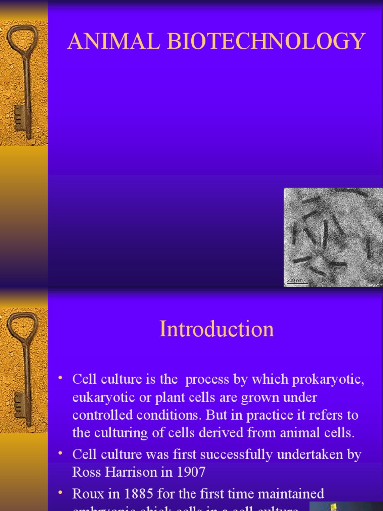 Basics of Cell Culture PDF Developmental Biology Cell Culture