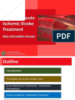 Update in Acute Ischemic Stroke Treatment: Aldy Safrudddin Rambe