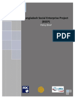 Policy Brief On Bangladesh Social Enterprise Project