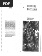 Vicente Giaconi Cultivo de Hortalizas | PDF