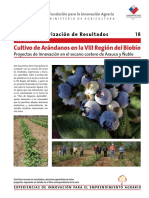 Cultivo de Arandanos en La Viii Region PDF