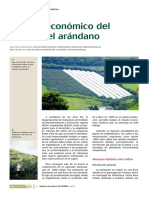 estudio economico del cultivo del arandano.pdf