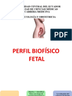 Perfil Biofisico