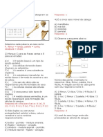 avaliação 8 ano ossos  sistema locomotor.docx