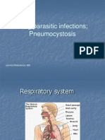 Lung Parasitic Infections