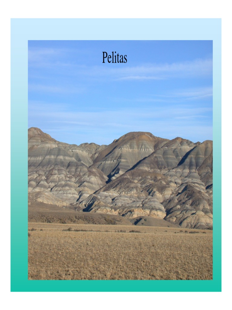 Pelitas | PDF | Arcilla | Roca clástica