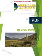 Región Puna: Características geográficas y culturales de la zona andina peruana