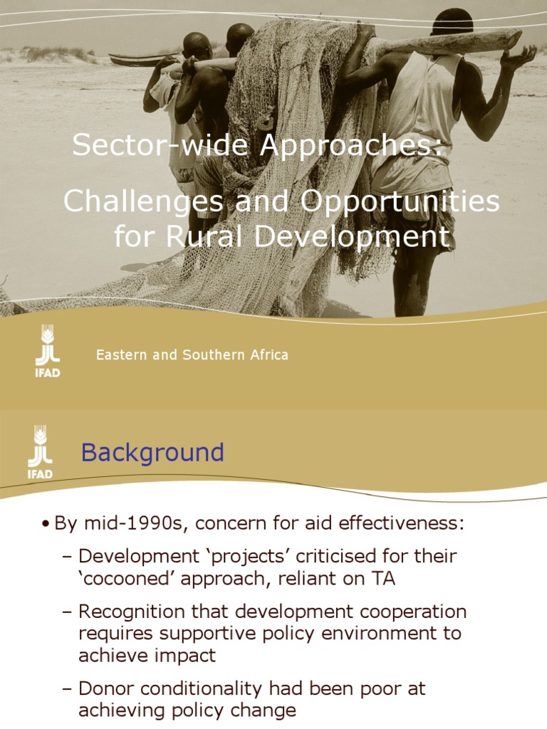 Rural Development Strategies in Africa | PDF | Aids | Policy