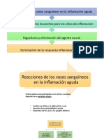 Clase 8. Inflamación 2da Parte PDF