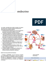 Tutorial Endocrino