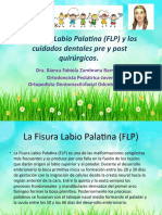 La Fisura Labio Palatina (FLP) y Los Cuidados Dentales Pre y Post Quirúrgicos.