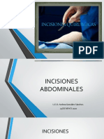 INCISIONES ABDOINALES