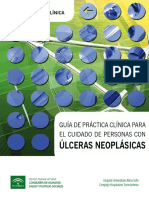 GuiadePractica u neoplasicas sas 2015-2