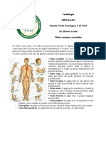 Pulsos Cardiologia