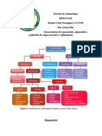 Causas de Monoartriris, Poliartriris y Oliartritis