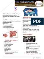 Pilek PDF