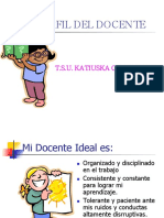 Perfil Del Docente Katy