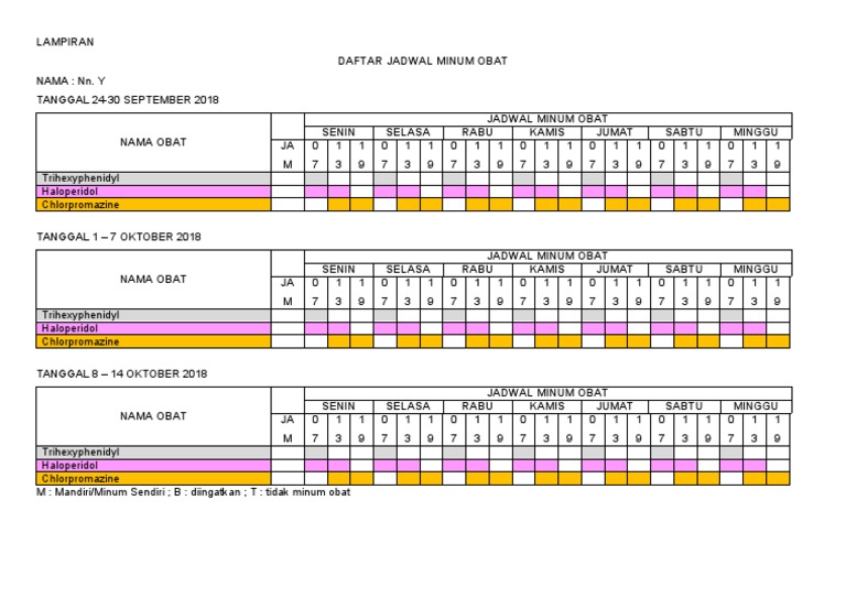 Lampiran Jadwal Minum Obat | PDF
