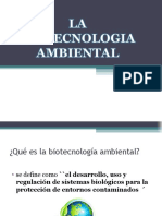 Explicacion Biotecnologia Ambiental.pdf