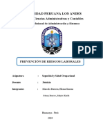 Monografia Prevencion de Riesgos Laborales