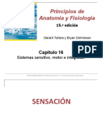 Sensorial PDF