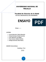 Ensayo sobre los paradigmas en la investigación científica