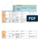 Plan de Trabajo