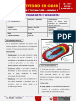 SEMANA 3 - CÉLULAS PROCARIOTAS Y EUCARIOTAS (2do CIENCIA Y TECNOLOGÍA)