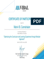 Certificate of Participation: Marivi B. Camahalan