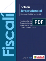 Boletín Jurisprudencial No. 19 PDF